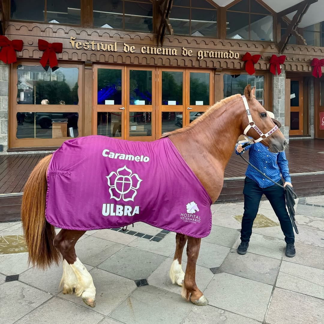 Cavalo Caramelo é doado oficialmente para a Ulbra