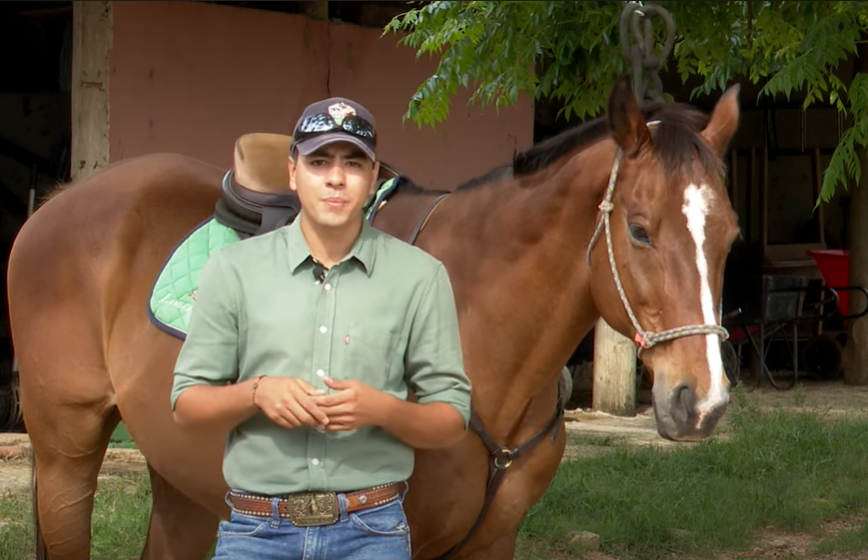 Conheça uma das principais profissões do meio do cavalo