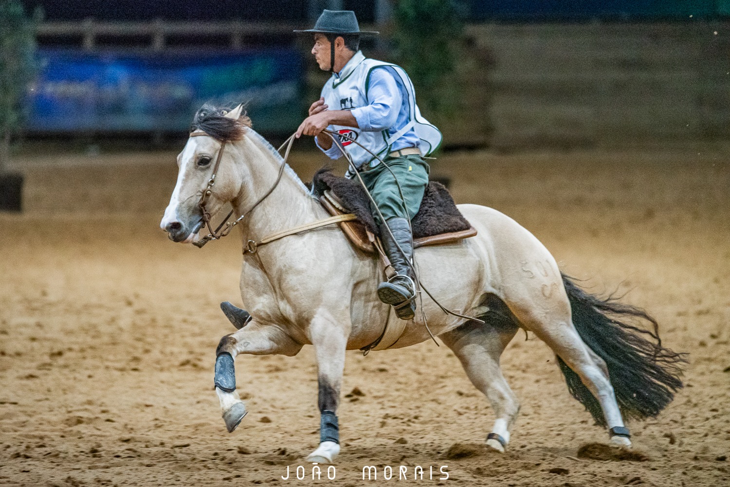 Movimiento a La Rienda expressa a elegância do Cavalo Crioulo