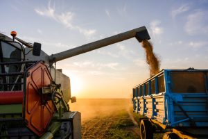 Goiás fecha 2024 com recordes no agronegócio e consolida posição de destaque nacional e internacional