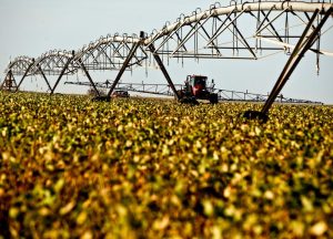 Títulos do agronegócio crescem mais de 30% e atingem R$ 1,2 trilhão