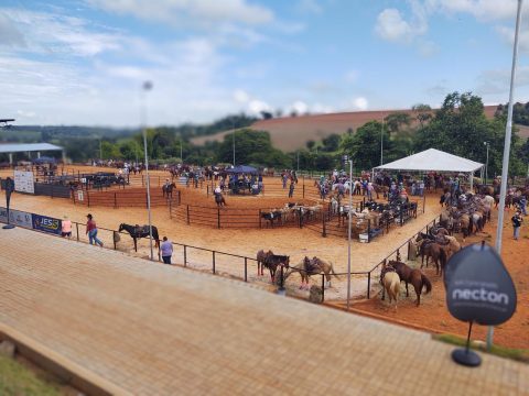 Copa CHBV 2025: prepare-se para um grande encontro equestre