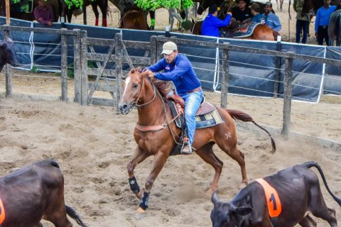 I Etapa do Campeonato Baiano de Ranch Sorting 2025 movimenta a cidade de Feira de Santana