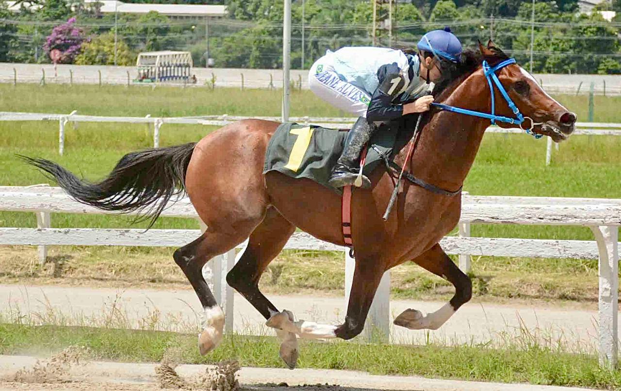 Monsenhor Rach vence corrida de abertura da temporada 2025 de Cavalos Árabes