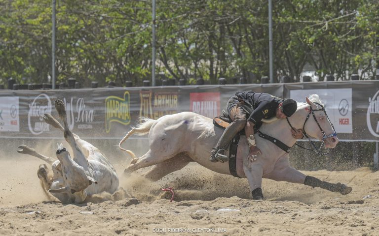 Monte Sião Haras reforça plantel com Debby Lad Steel RCT que estará na Vaquejada em 2025