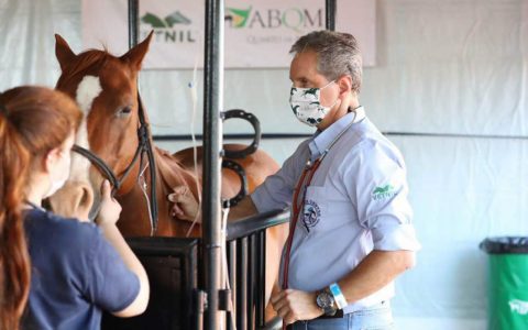 Com retorno de provas equestres é preciso dar atenção especial a assistência técnica aos cavalos atletas