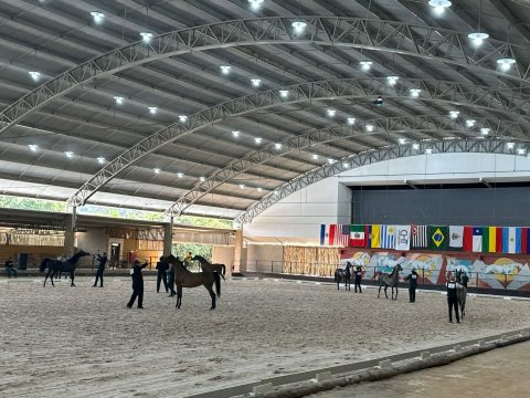Tatuí (SP) sedia primeiro grande evento oficial do Cavalo Árabe de 2025 com premiação de R$ 250 mil