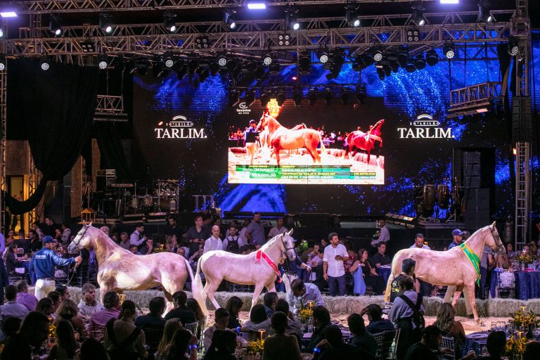 Com Nelore e Mangalarga, 10° Leilão Tarlim bate recordes e fatura mais de R$ 31 milhões