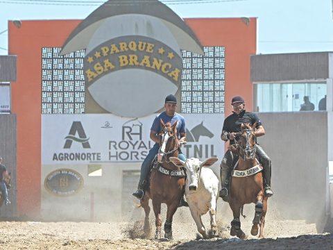 Segunda semana de março terá grandes provas na agenda equestres