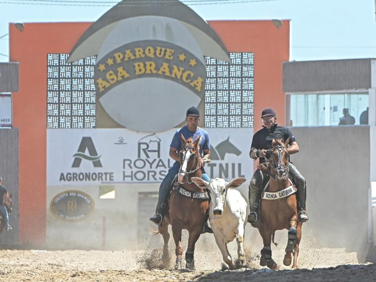 Segunda semana de março terá grandes provas na agenda equestres
