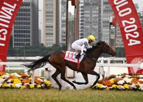 Festival do GP São Paulo de Turfe celebra os 150 anos do Jockey Club