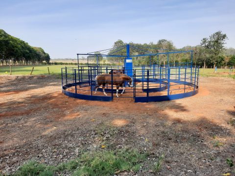 Upp Ranch