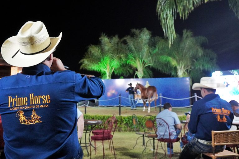 3º Leilão Live Prime Horse Intimate reúne elite genética do Quarto de Milha em Araçatuba