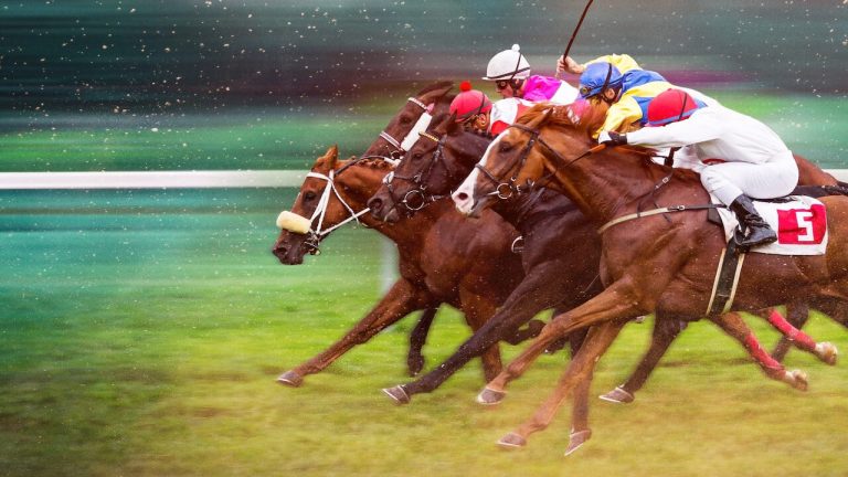 Série documental retrata o competitivo mundo das corridas de cavalos puro-sangue nos Estados Unidos