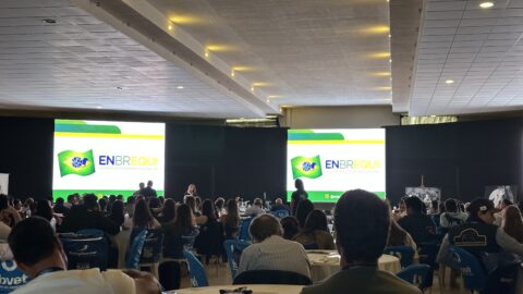 Enbrequi 2025 reúne mais de 600 veterinários com foco em reprodução equina
