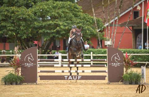 Um salto além do esporte: como o Tauf Equestrian Tour está transformando o hipismo em identidade corporativa