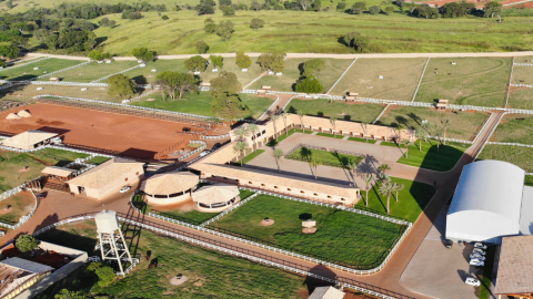 Haras Império inova e anuncia leilão em dois dias com genética de ponta e animais de elite