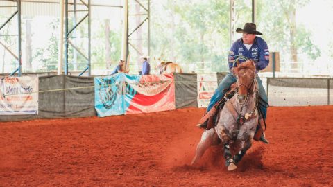 4ª Semana Prudentina do Cavalo de Trabalho reúne provas, leilões e workshop com juiz internacional em Presidente Prudente (SP)