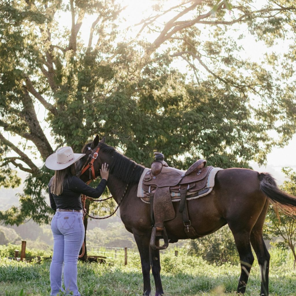 5 dicas para voltar a montar após uma lesão