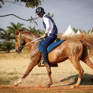 Brasil ganha medalha de ouro em duas categorias no Pan-Americano de Enduro Equestre