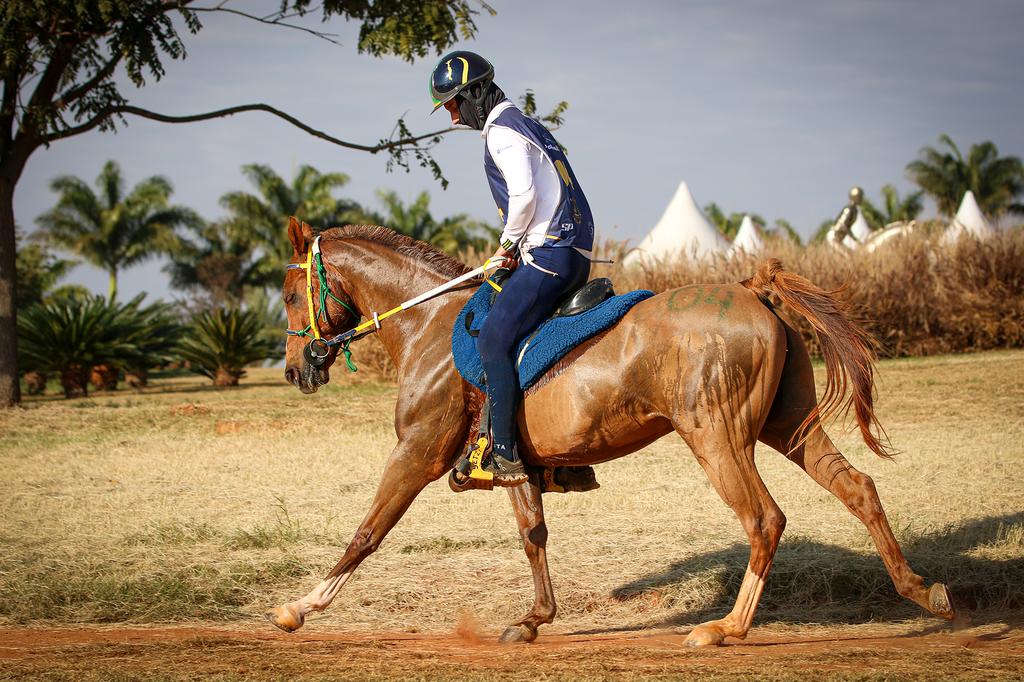 Brasil ganha medalha de ouro em duas categorias no Pan-Americano de Enduro Equestre