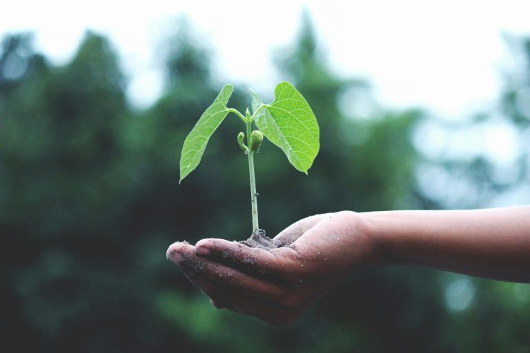 Brasil como líder da agricultura tropical é tema do CNMA 2025
