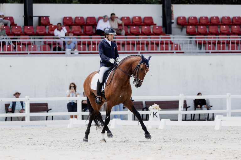 Brasil no Mundial de Cavalos Novos de Dressage