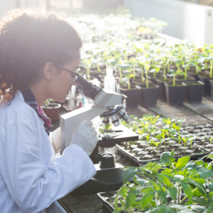 Profissões do agro: como trabalhar com o que amamos?