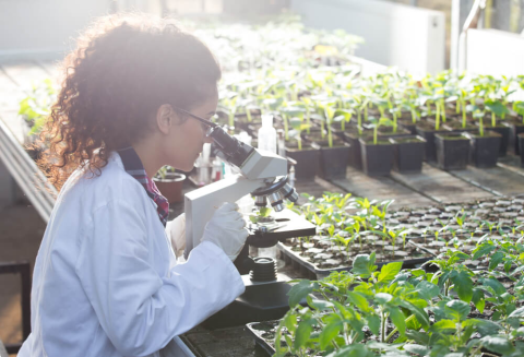 Profissões do agro: como trabalhar com o que amamos?