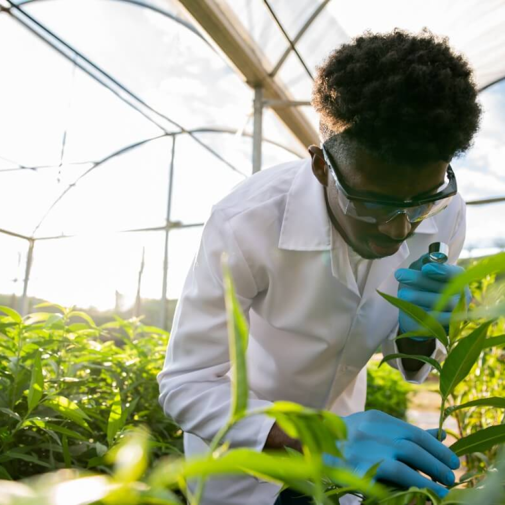 Profissões do agro: como trabalhar com o que amamos?