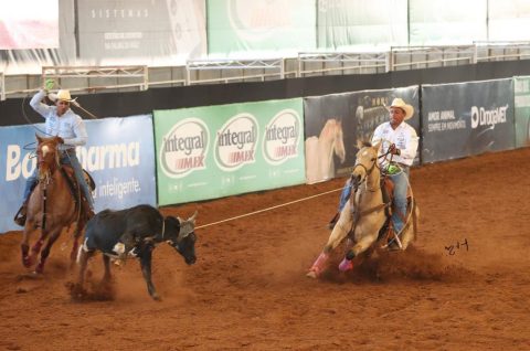 Filhos de Dual Patron e Shiney Bit O Ebony alcançam resultados expressivos no Nacional da Raça Quarto de Milha 2025