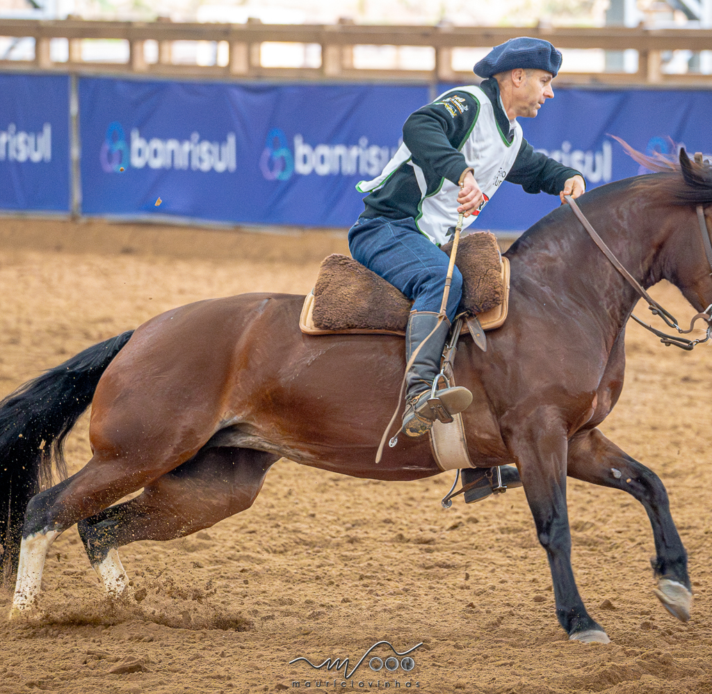 Cavalo Crioulo se prepara para o evento mais importante do ano