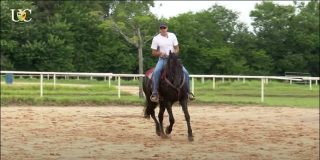 TV UC: Cavalo que galopa em 4 tempos