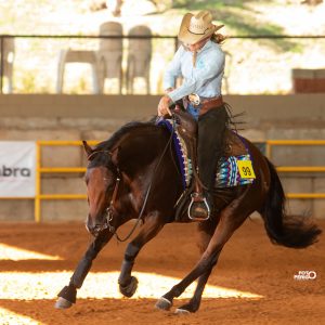 Provas da 1ª Etapa Now Cobranças do Campeonato e o 3º Potro do Futuro da NCCR iniciam amanhã (15/08)