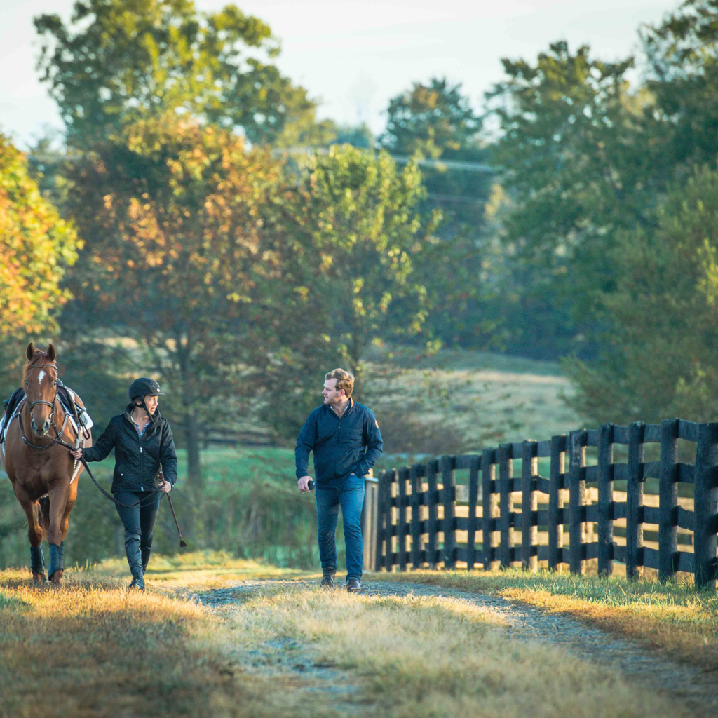 5 dicas importantes para fortalecer a imunidade dos cavalos