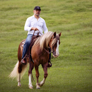 Abertura solidária na Expointer: Minotauro leiloa cavalo crioulo em prol das vítimas das enchentes de 2024