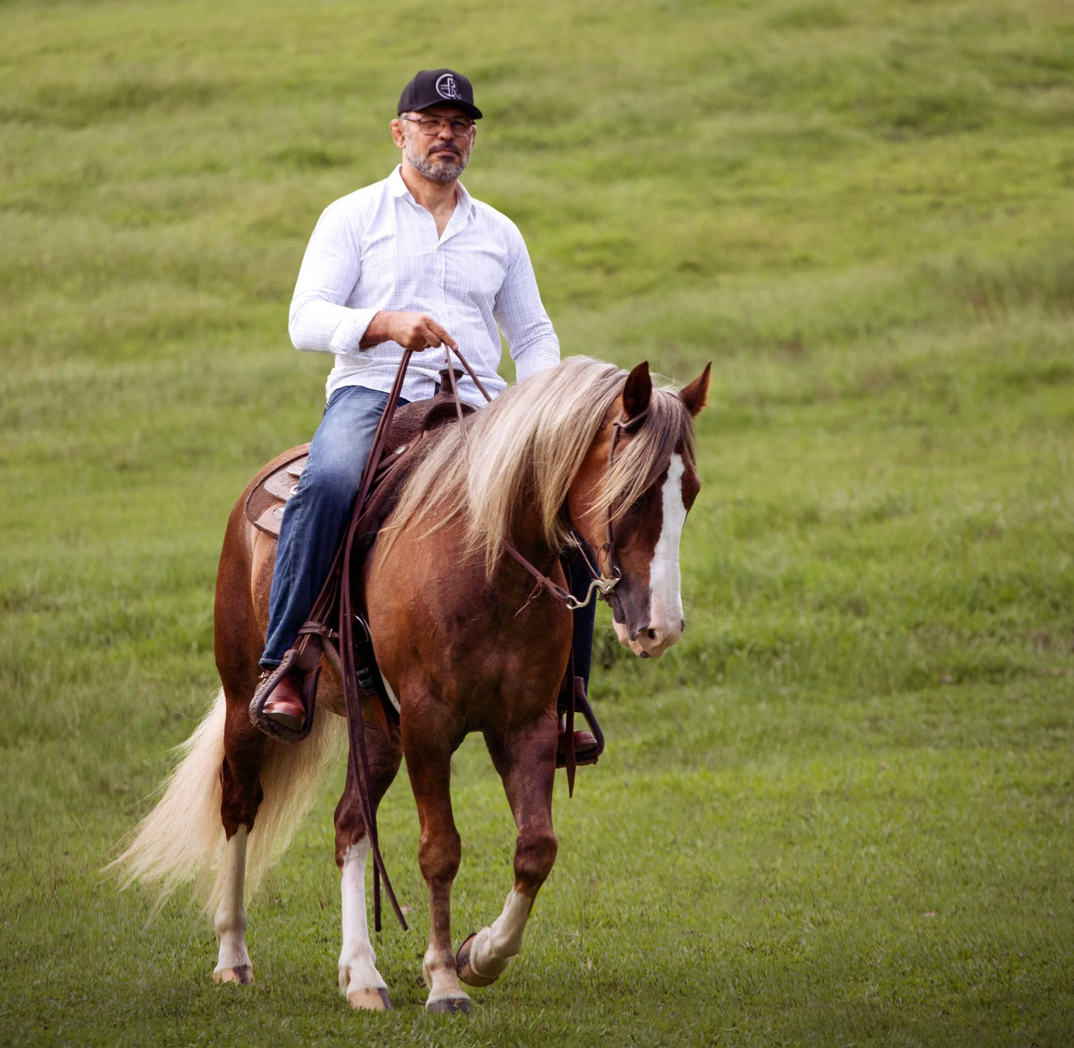 Abertura solidária na Expointer: Minotauro leiloa cavalo crioulo em prol das vítimas das enchentes de 2024