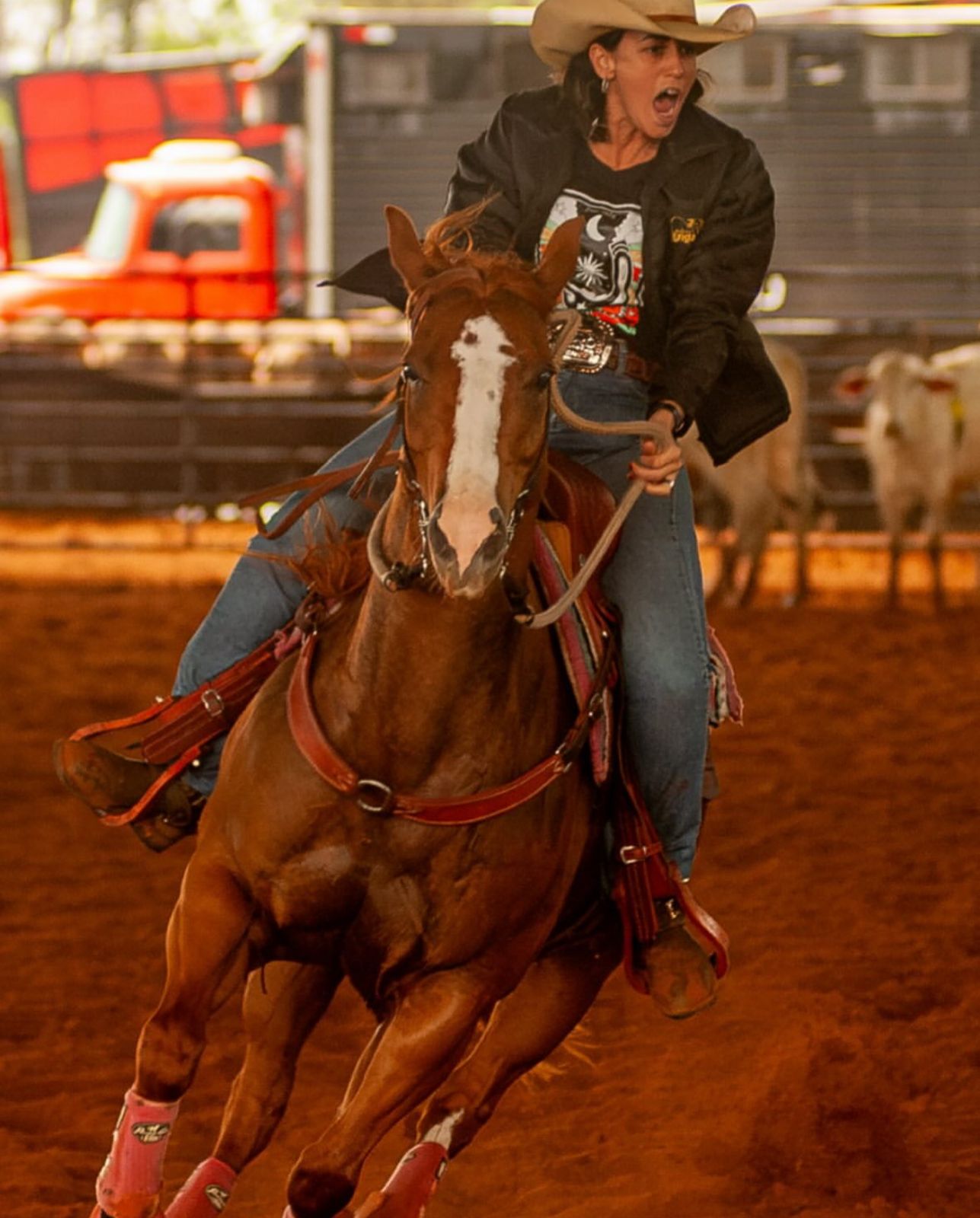 Agro Sem Limites 2025 chega à 3ª edição com programação intensa em Bauru