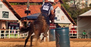 Belo Horizonte recebe a 45ª Exposição Nacional do Cavalo Campolina com shows, cultura e agronegócio