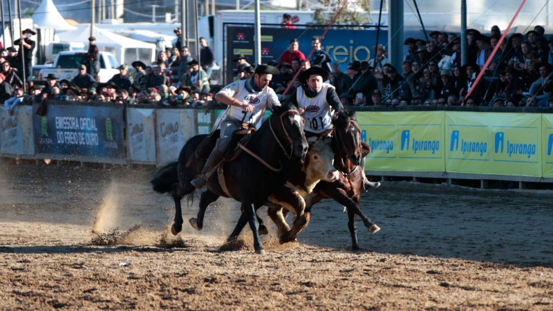 Expointer 2025 terá participação de 6.696 animais