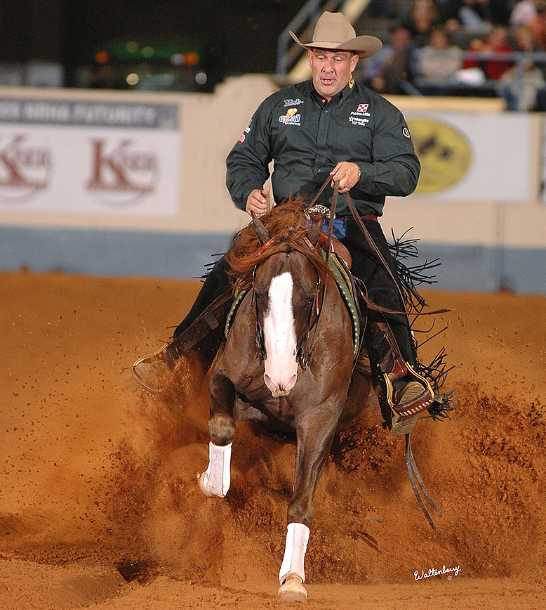 Gunnatrashya 15 Million Sire 1