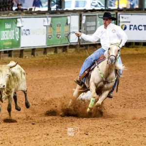 Inscrições abertas para Congresso Brasileiro, Copa dos Campeões e Potro do Futuro de Laço Comprido