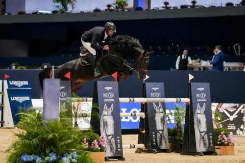 Longines São Paulo Horse Show começa com show dos Cavalos Novos no Indoor da Sociedade Hípica Paulista