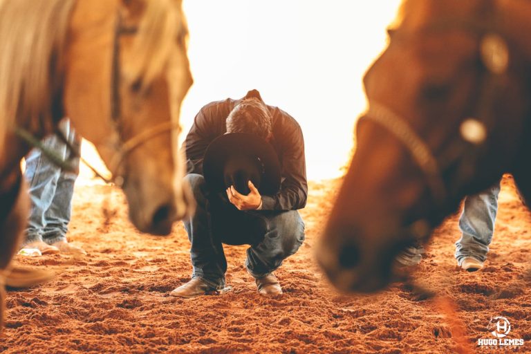 STF reconhece a constitucionalidade e legalidade das práticas equestres regulamentadas