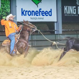 1º Leilão Virtual Team Roping da Depressão reúne tradição e inovação