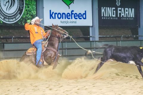 1º Leilão Virtual Team Roping da Depressão reúne tradição e inovação