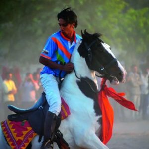Cavalos Marwari e a cultura guerreira de Rajasthan: vivências únicas de agroturismo na Índia