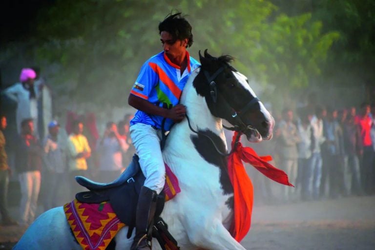 Cavalos Marwari e a cultura guerreira de Rajasthan vivências únicas de agroturismo na Índia