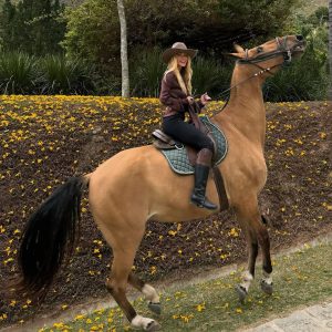 Em refúgio natural, Marina Ruy Barbosa celebra momento de paz durante passeio a cavalo