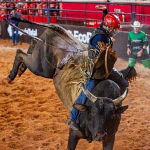 Expo Araçatuba recebe etapa da PBR com shows e entretenimento